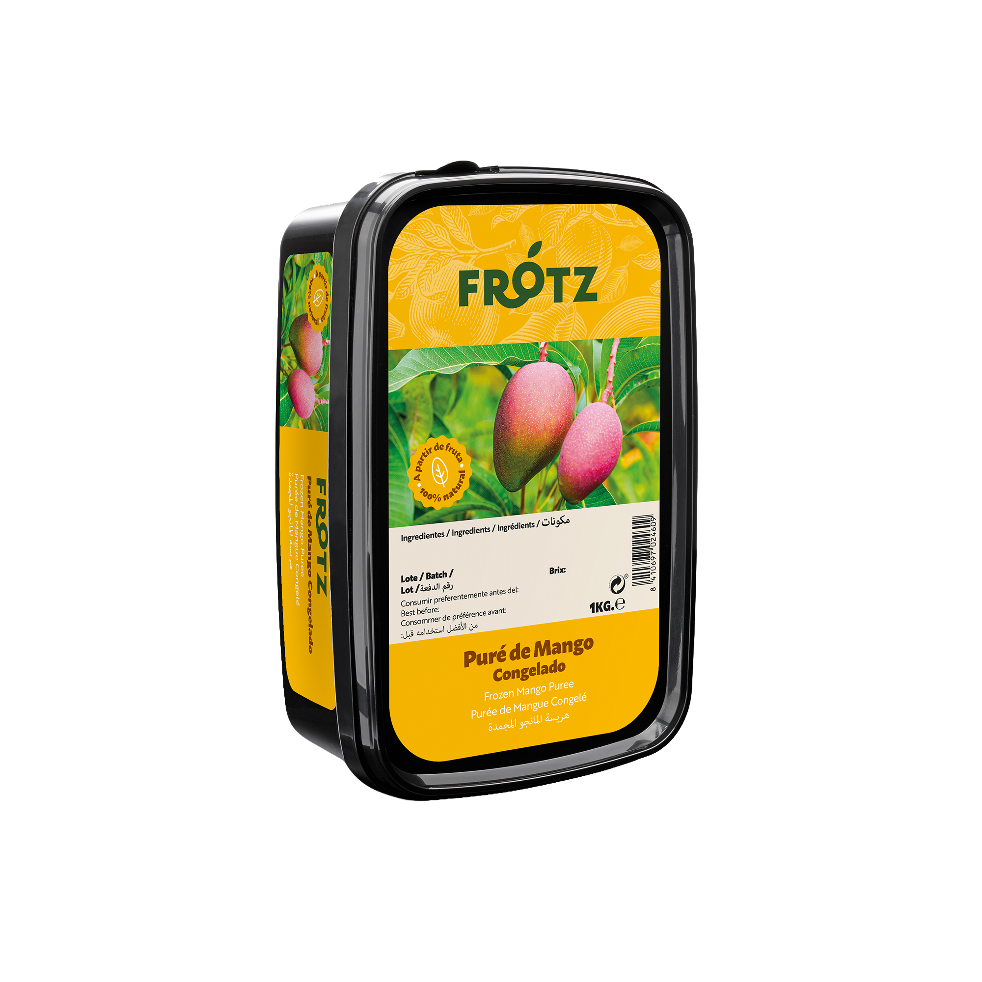 Mango Puré Congelado – 1 kg
(Mangifera indica)