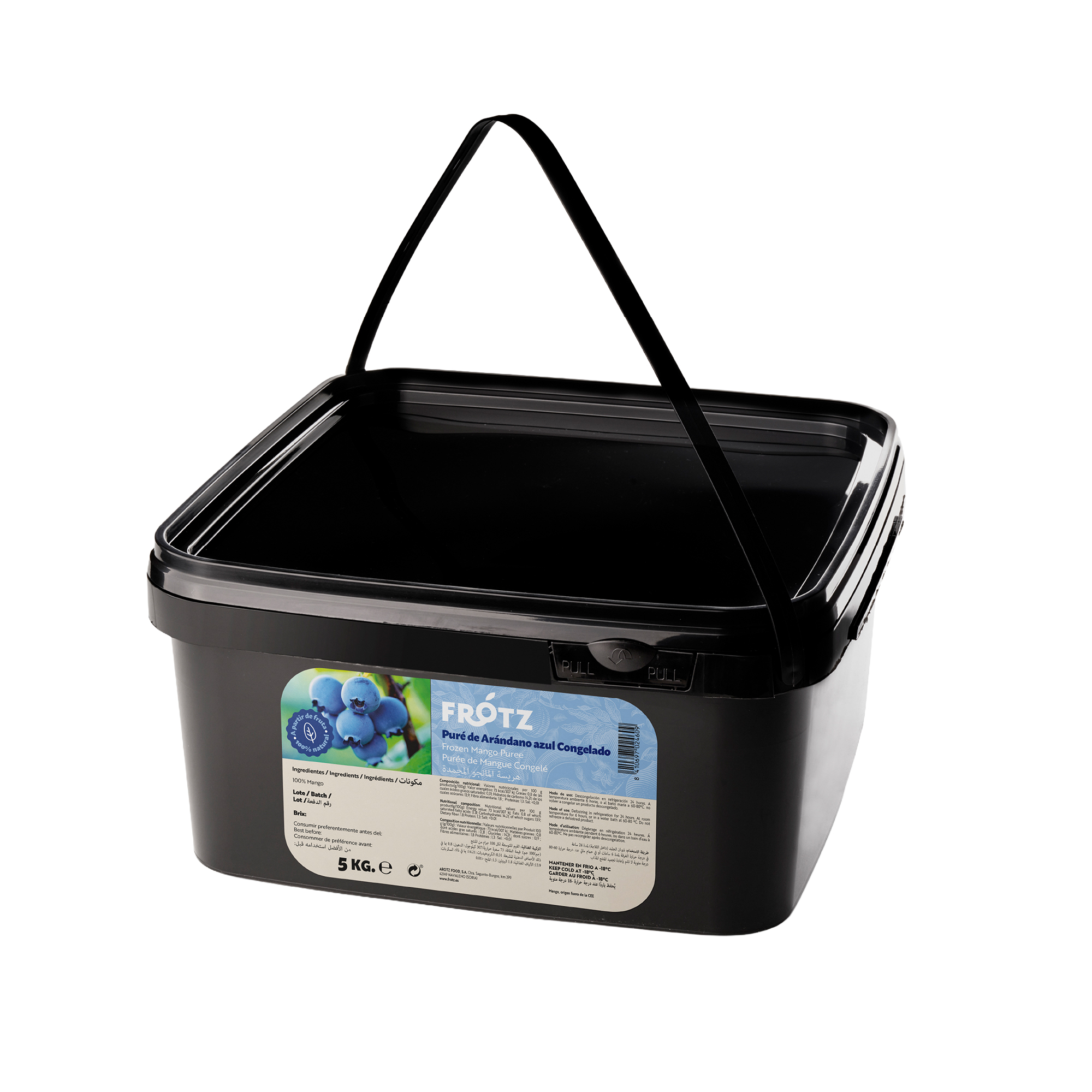 Arándano Puré Congelado – cubo 5 kg