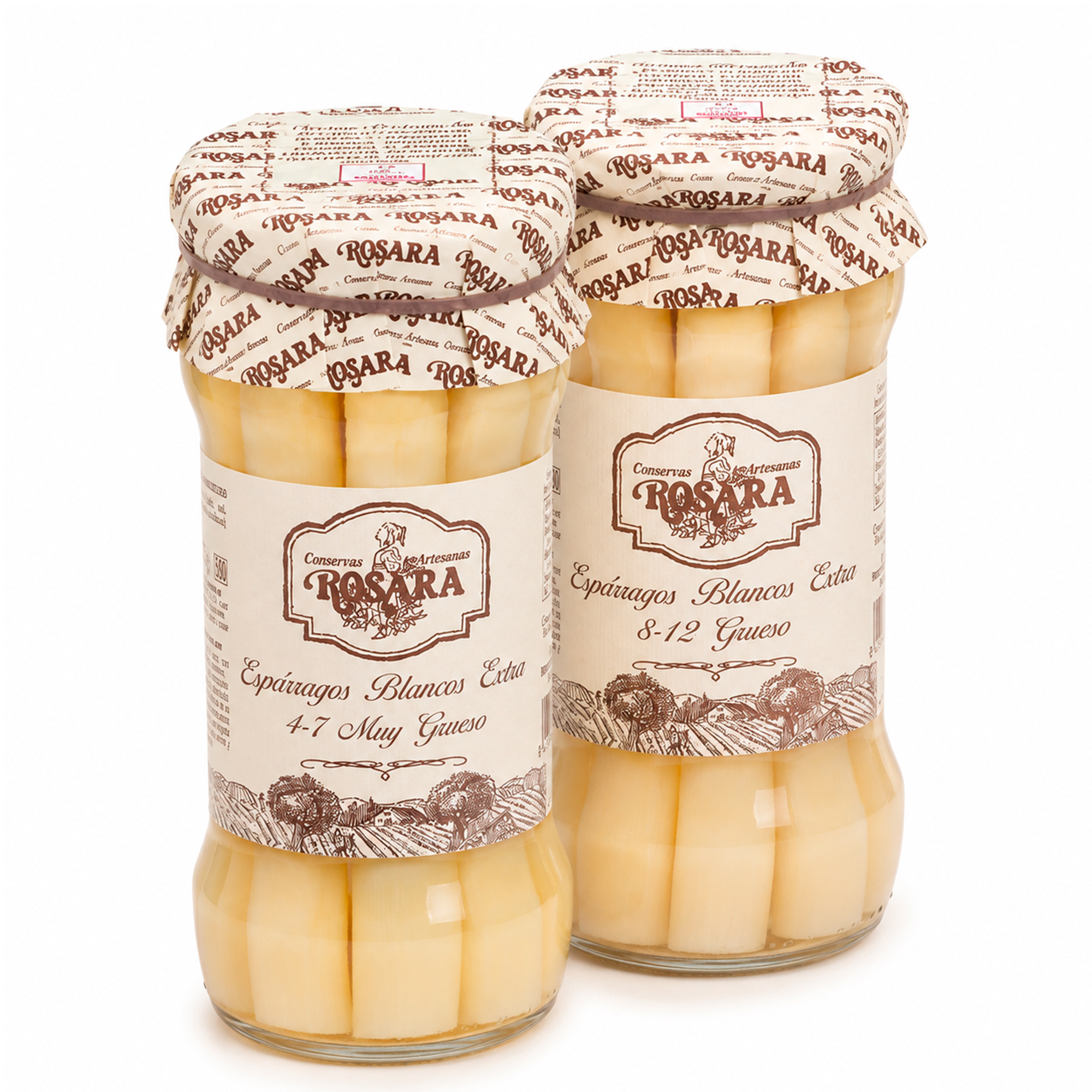 White Asparagus from Navarra D.O. - Sizes 4–7 & 8–12